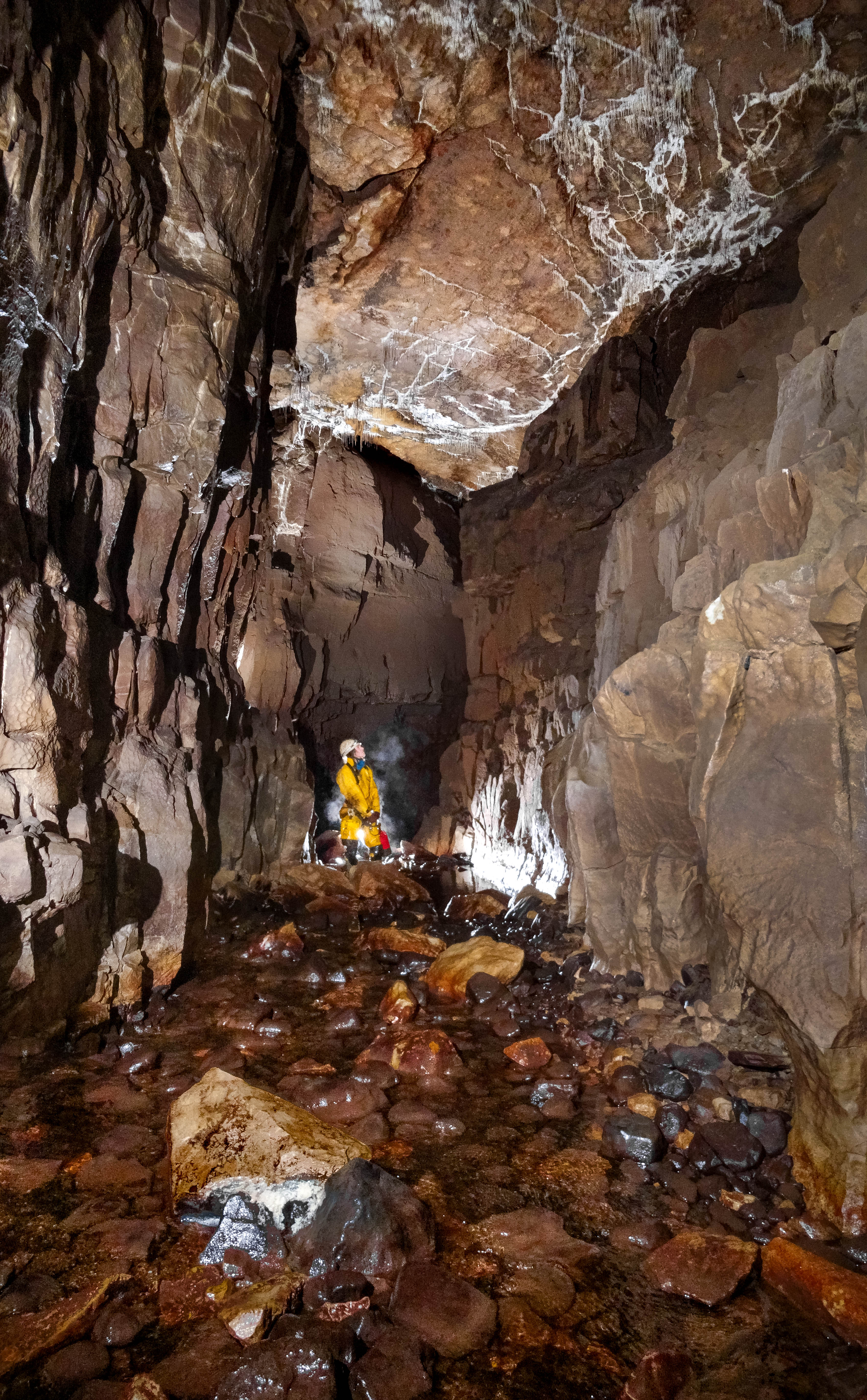 Thumbnail of photo from this article